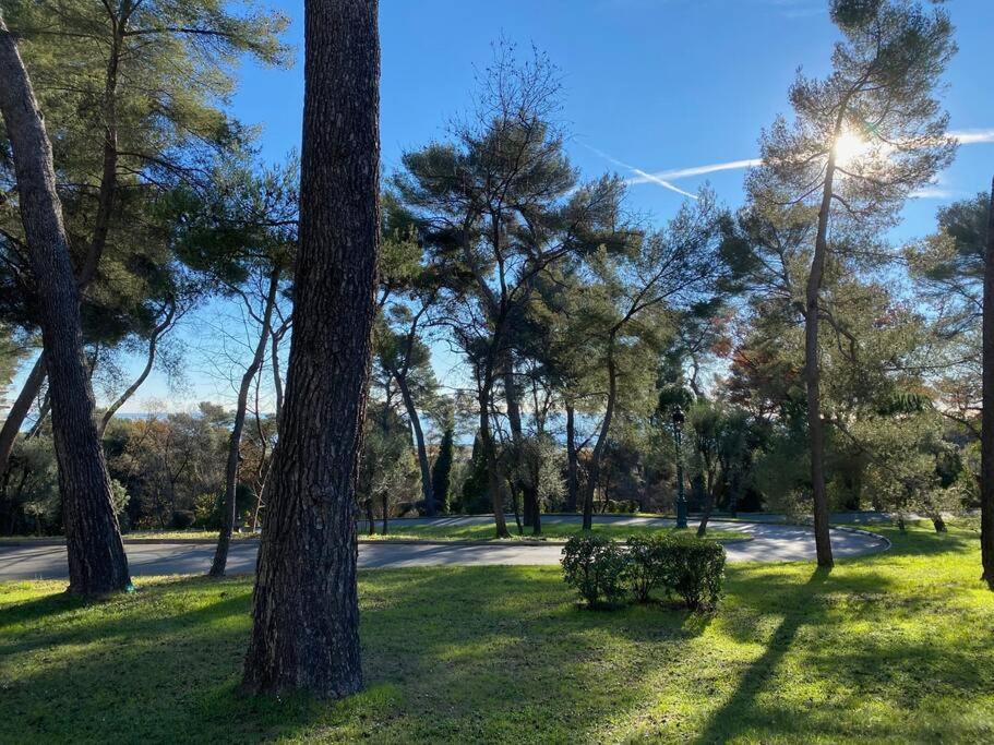 קאן סור מר 2-Room 60 M², Panoramic View, 2 Balconies, 50M Pool מראה חיצוני תמונה